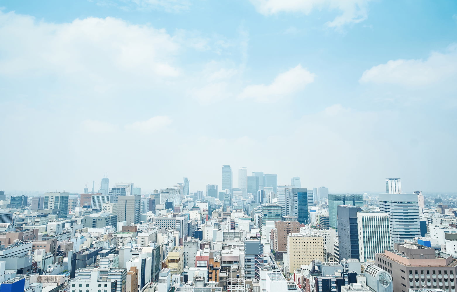 事業内容
