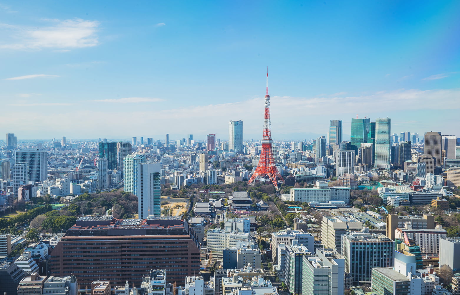事業内容